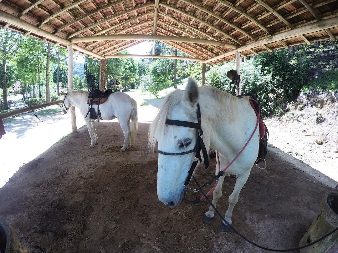 Hotel Fazenda Monte Verde Golf & Resort ヴァルジェン・アウタ エクステリア 写真