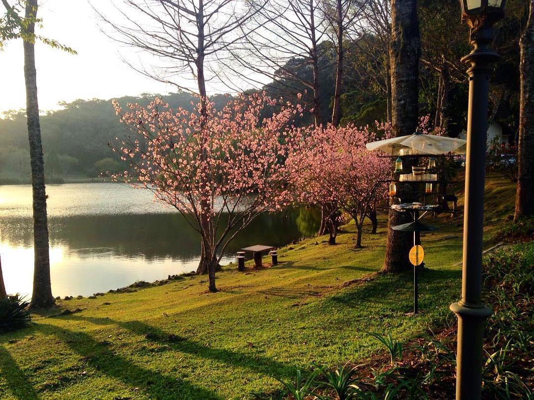 Hotel Fazenda Monte Verde Golf & Resort ヴァルジェン・アウタ エクステリア 写真