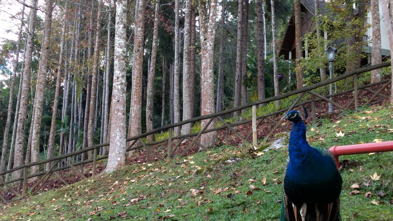 Hotel Fazenda Monte Verde Golf & Resort ヴァルジェン・アウタ エクステリア 写真