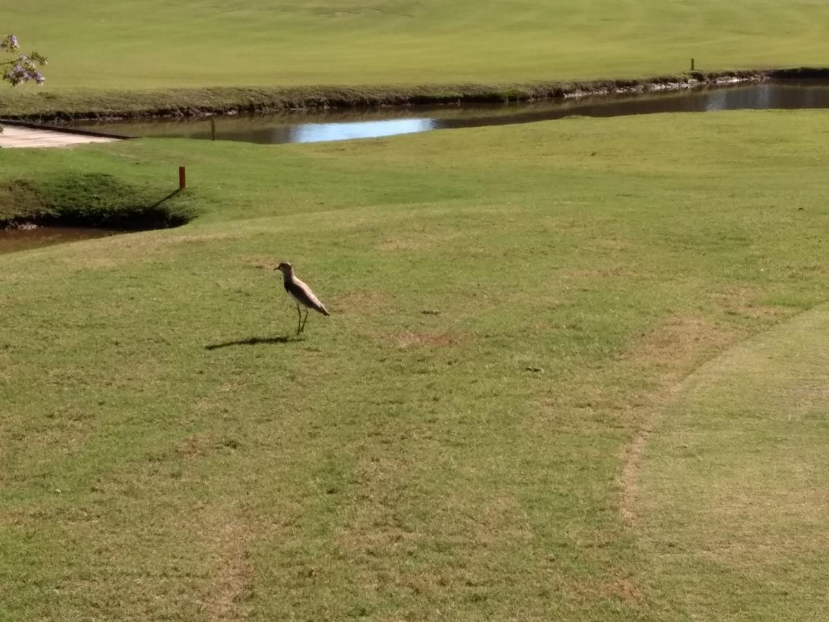 Hotel Fazenda Monte Verde Golf & Resort ヴァルジェン・アウタ エクステリア 写真